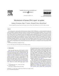 Mechanisms of human DNA repair: an update