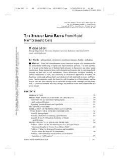 THE STATE OF LIPID RAFTS: From Model
