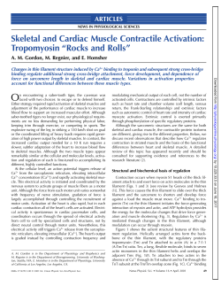 Skeletal and Cardiac Muscle Contractile Activation