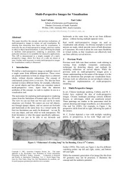 Multi-Perspective Images for Visualisation