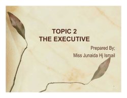 TOPIC 2 THE EXECUTIVE
