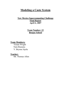 Modeling a Caste System - The Supercomputing Challenge