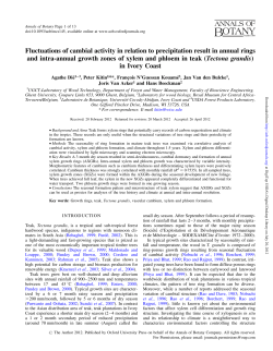 Fluctuations of cambial activity in relation to precipitation result in