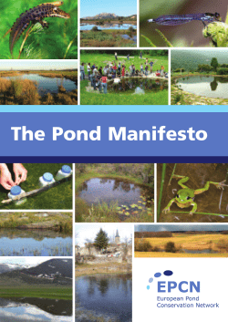 The Pond Manifesto - Freshwater Habitats Trust