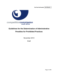 Guidelines for the Determination of Administrative Penalties for