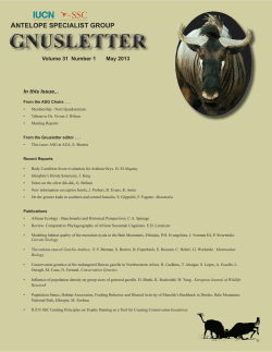gnusletter - 400 Bad Request