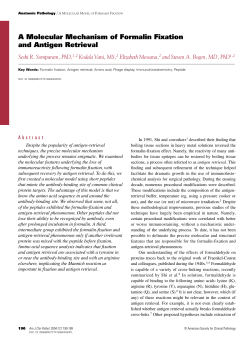 A Molecular Mechanism of Formalin Fixation and Antigen Retrieval