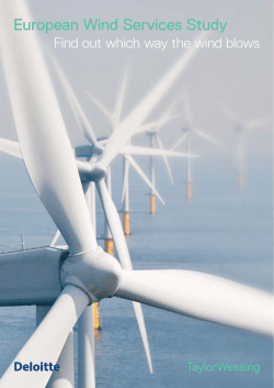 European Wind Services Study