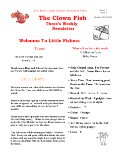 The Clown Fish - Little Fishers Preschool