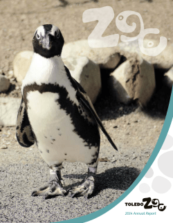 2014 Annual Report