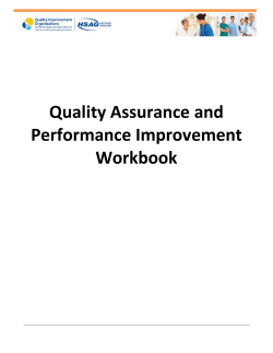 Quality Assurance and Performance Improvement Process Workbook