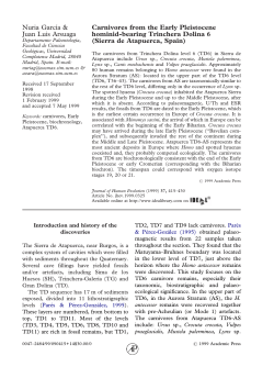 Carnivores from the Early Pleistocene hominid