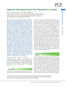 Epigenetic Reprogramming in Plant