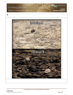 Mouse variation lesson