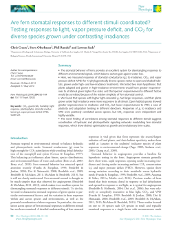 Are fern stomatal responses to different stimuli coordinated? Testing
