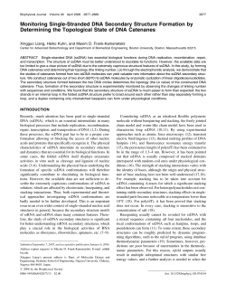 Monitoring Single-Stranded DNA Secondary Structure Formation by