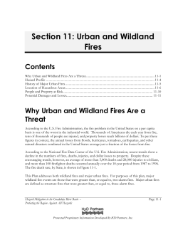 GPlanSec11-Urban and Wildland Fires.3.23.04.to DEM
