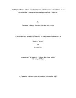 The Effect of Auxins on Seed Yield Parameters in Wheat, Pea and