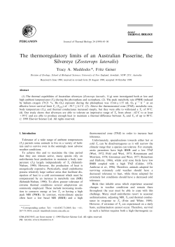 The thermoregulatory limits of an Australian Passerine, the