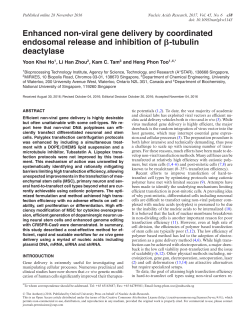 Enhanced non-viral gene delivery by coordinated endosomal