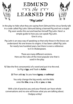 pig latin copy