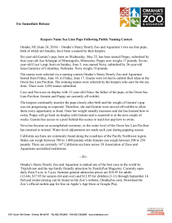 For Immediate Release Keepers Name Sea Lion Pups Following