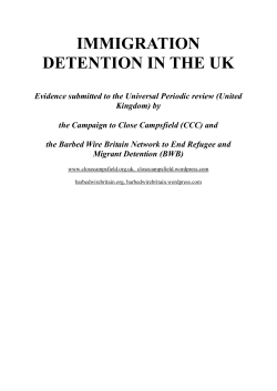 immigration detention in the uk