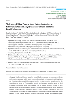 Multidrug Efflux Pumps from Enterobacteriaceae, Vibrio