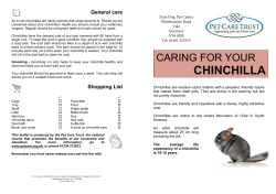 Pet Care - Trim Dog Pet Centre