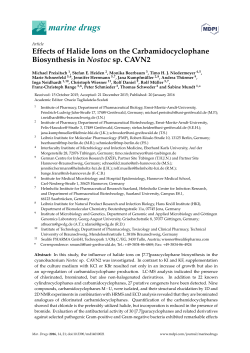 Effects of Halide Ions on the Carbamidocyclophane Biosynthesis in