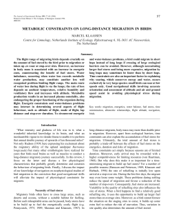metabolic constraints on long-distance migration in birds