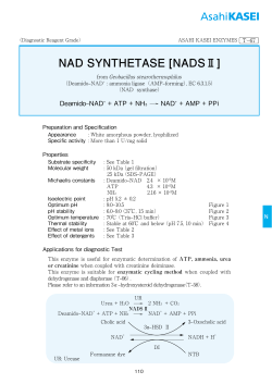 NAD SYNTHETASE [NADSⅡ]