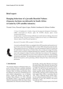 Brief report Ranging behaviour of a juvenile