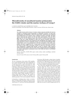 Microdiversity of uncultured marine prokaryotes: the SAR11 cluster
