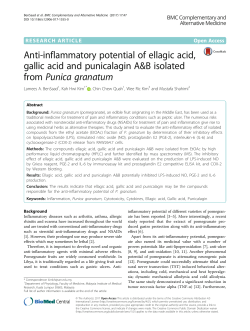 Anti-inflammatory potential of ellagic acid, gallic