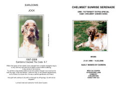 chelmset sunrise serenade - southern english setter society