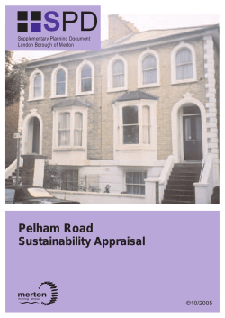 Summary Sustainability Appraisal Statement for Character Appraisal