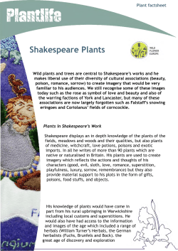 Shakespeare Plants - Wildflower Europe