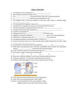 Chapter 1 Study Guide 1. The smallest unit of a living thing is a . 2