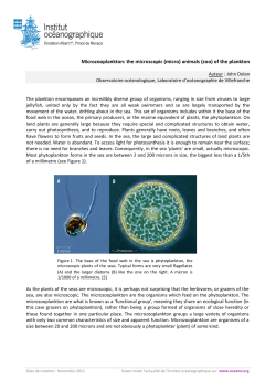 Microzooplankton: the microscopic (micro) animals (zoo)