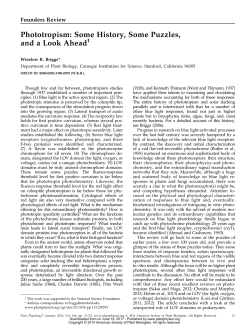 Phototropism: Some History, Some Puzzles, and