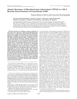 Atomic Structure of Mycobacterium tuberculosis CYP121 to 1.06 &Aring;