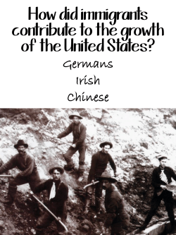 How did immigrants contribute to the growth of the US?
