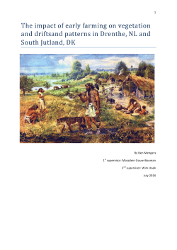 The impact of early farming on vegetation and driftsand patterns in