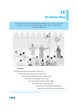 The Broken Wing