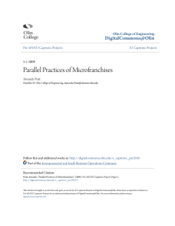 Parallel Practices of Microfranchises