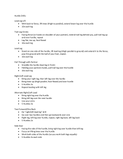 Hurdle Drills: Lead Leg Lift &bull; With back to fence, lift knee (thigh to