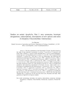 Studies on asiatic Apophylia. Part 1: new synonyms, lectotype