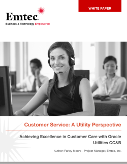Customer Service: A Utility Perspective