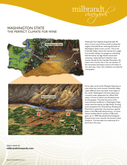 Ancient Lakes - Milbrandt Vineyards